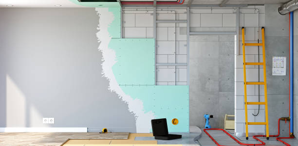 Best Asbestos and Lead Testing During Mold Inspection  in Buda, TX
